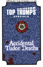 Accidental Tudor Deaths