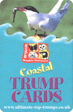 Coastal Trumps - RSPB