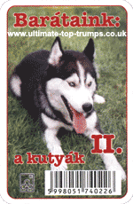 A Kutyák II