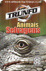 Animais Selvagens