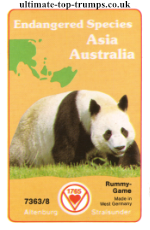 Asia Australia
