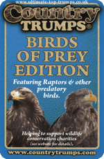 Birds of Prey Edition