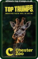 Chester Zoo