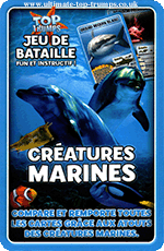 Créatures Marines