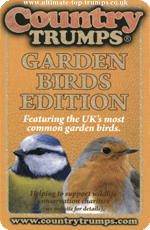 Garden Birds Edition