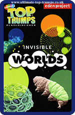 Invisible Worlds