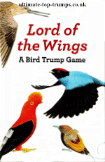 Lord of The Wings