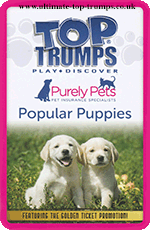 Popular Puppies