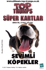 Sevimli Köpekler