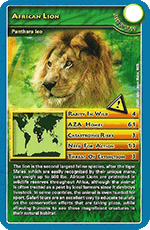 African Lion (Blue border)