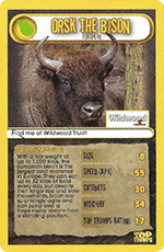 Orsk The Bison
