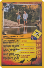 Wagga Beach NSW