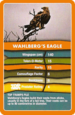 Wahlbergs Eagle
