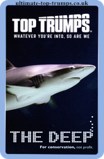 The Deep