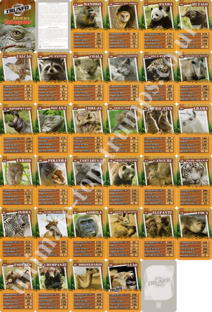 Animais Selvagens