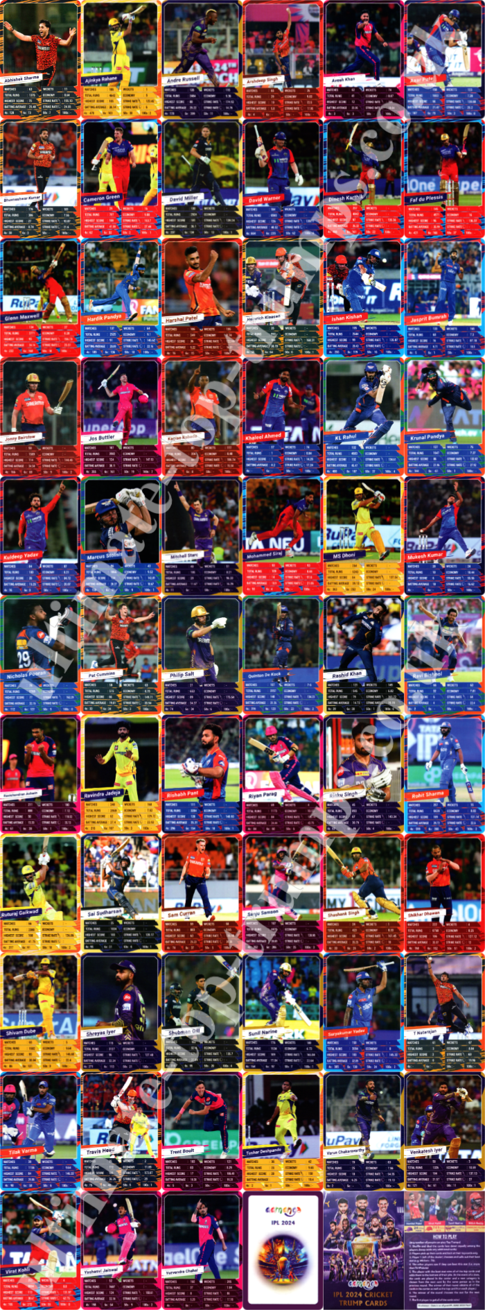 Indian Premier League 2024