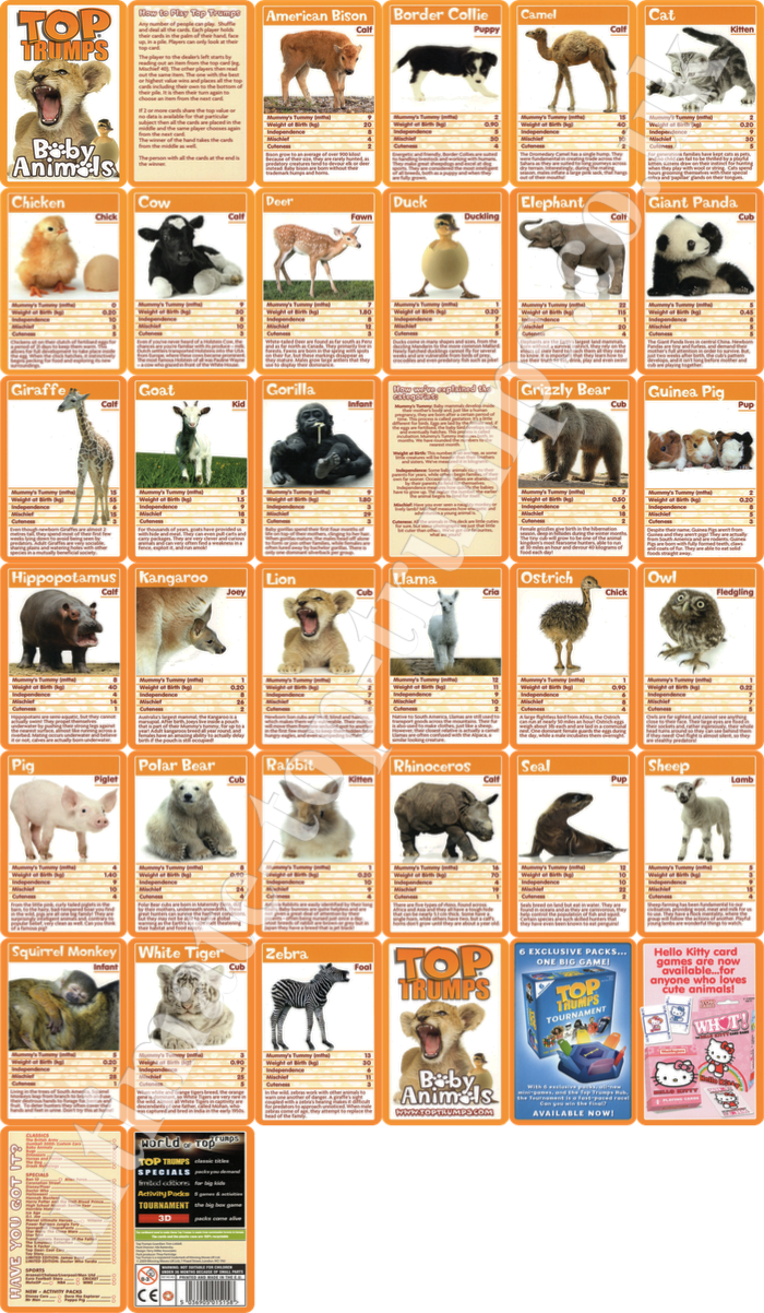 Baby Animals