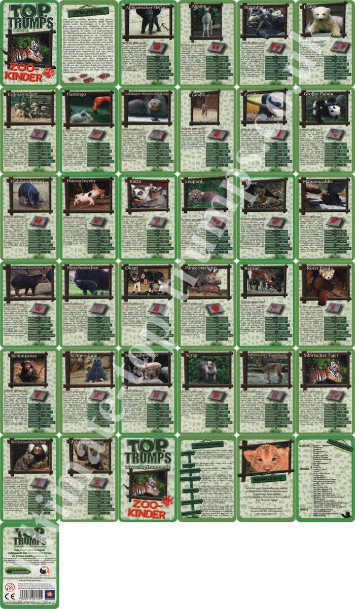 Zoo Kinder