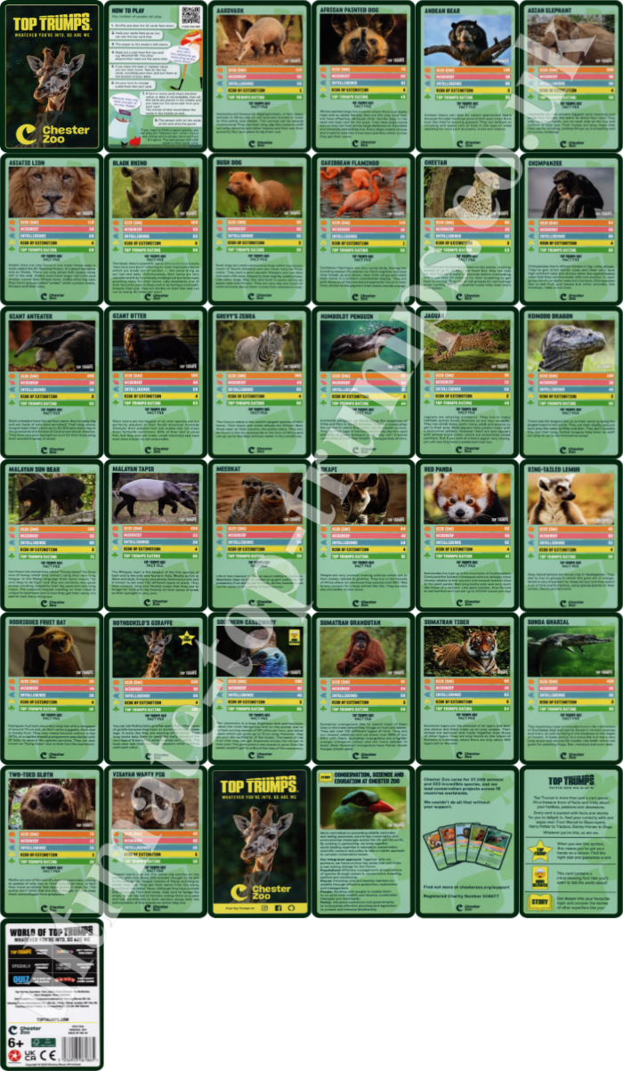 Chester Zoo
