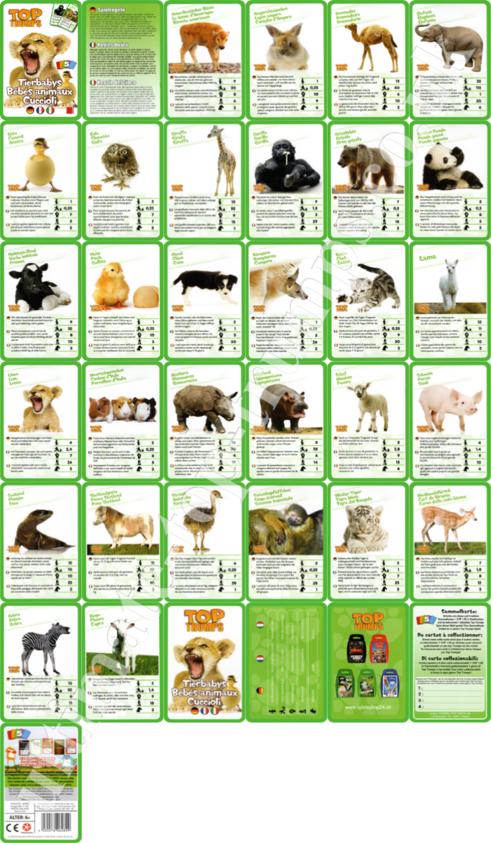 Tierbabys, Bébés animaux, Cuccioli