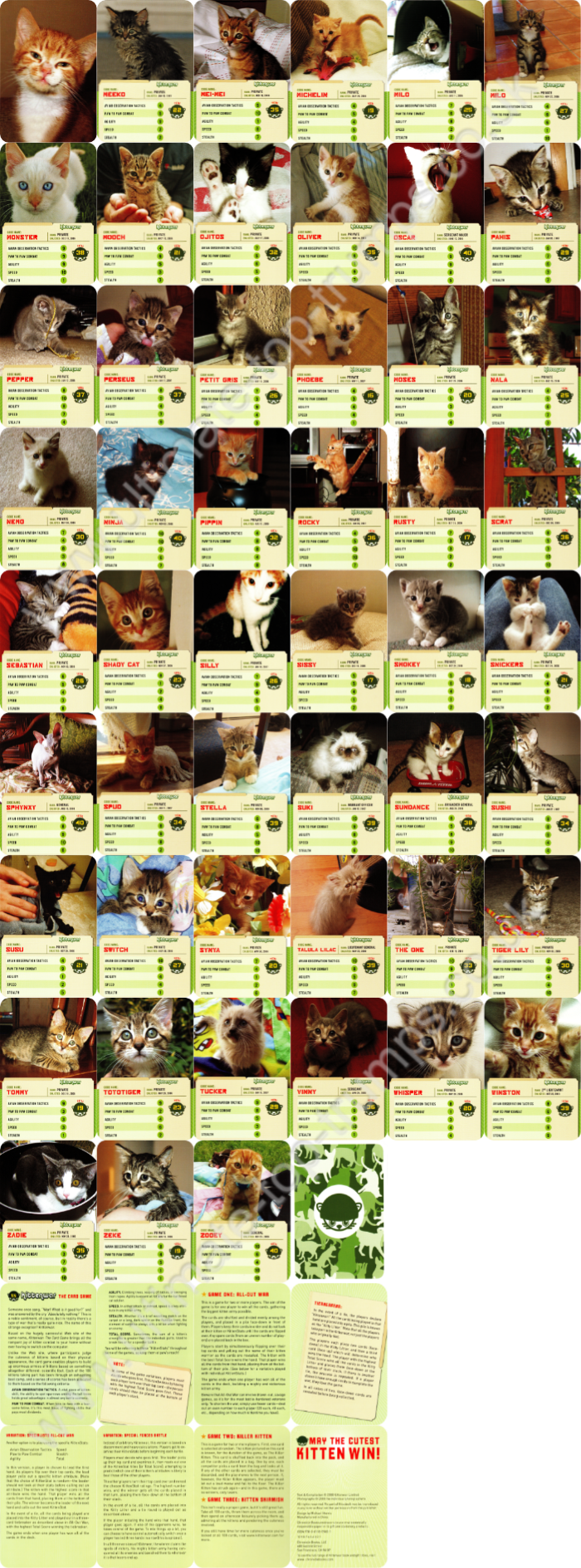 Kittenwar